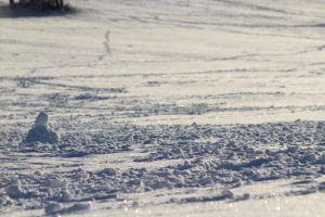 Ulteriore immagine del manto nevoso